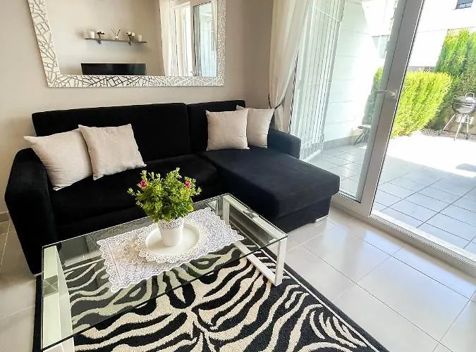 Nova 41 * 格兰阿利坎特